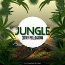Ck Pellegrini - Jungle Cekay 2020 Edit