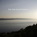 Salt Of The Sound - Where Do I Begin Instrumental