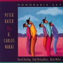 Peter Kater And Carlos Nakai - If Men Were At Peace