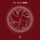 Kry Wolf - No Trouble
