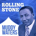 Muddy Waters with Orchestra - Train Fare Home Blues