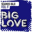 Seamus Haji - Feel It Lifelike Remix