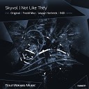 Skyvol - Not Like They INDI Remix