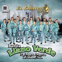 Banda Llano Verde La Nueva Nueva de Zirahuen… - Quererte Jam s