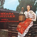 Mioara Pitulice - Vino Neic Vino Iar