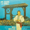 Mihai Mihalache - Intru N Lunc Tai Nuiele