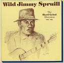 Wild Jimmy Spruill - Country Boy
