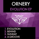 Ornery - A Groove Original Mix