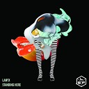 Lanyx - Standing Here Original Mix