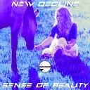 New Decline - Beyond The Veil Original Mix