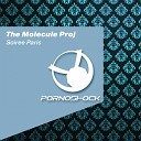 The Molecule Proj - Love Is A Vision Original Mix