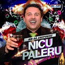 Nicu Paleru - Spune Mi De Ce Taci Vecine Bonus Track