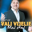 Vali Vijelie - Am Iubit Pentru Amandoi