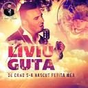 Liviu Guta - O Poveste De Iubire Bonus Track