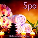 Spa Mind Body - Harmony And Peace