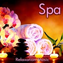 Spa Mind Body - Harmonics Of Nature