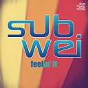 SubWei - Feelin It Instrumental Mix