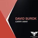 David Surok - Carry Away Original Mix