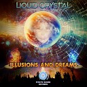 Liquid Crystal - Quantum Dragonfly On Magnetic Fields Original…