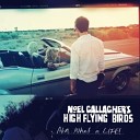 Noel Gallagher s High Flying Birds - Let The Lord Shine A Light On Me UNKLE Rework