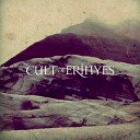 Cult of Erinyes - Last Light Fading