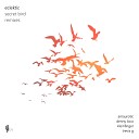 ECLEKTIC - Secret Bird Denny Loco Remix