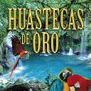 Trio los Huastecos - La Ara a