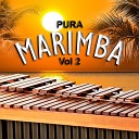 Marimba Ju rez - La Tortuga