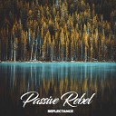 Passive Rebel - Reflectance Instrumental