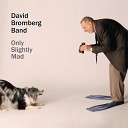 David Bromberg The David Bromberg Band - The Fields Have Turned Brown