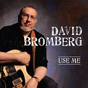 David Bromberg feat Los Lobos - The Long Goodbye