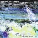 Richard Amp - The Crossroads