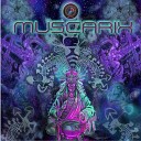 Malkaviam Digitalist - Drop Acid Original Mix