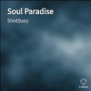 ShotBass - Soul Paradise