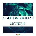 A Tribe Called House - Mystique Original Mix