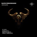 David perezgrueso - Apocalipse Martyn P sch Remix