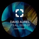 David Aurel - Golden Teeth Original Mix