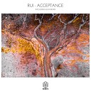 Rui - Acceptance ALMA GER Remix