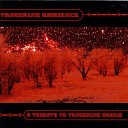 Tangerine Dream - Phaedra Surface 10