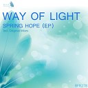 Way Of Light - Spring Hope Original Mix