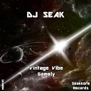 DJ Seak - Vintage Vibe