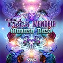 Tristan Mandala UK - Mimosa Dosa Original Mix