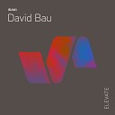 David Bau - Shining Original Mix