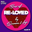 Seamus Haji - You Need Love Original Mix