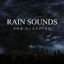 Background Noise From TraxLab - Rain and Thunder Sounds Part 15