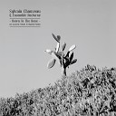 Sylvain Chauveau  Ensemble Nocturne - Never Let Me Down Again