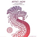 Affkt feat Forrest - Now Shall Ocin Remix