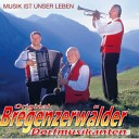 Orig Bregenzerw lder Dorfmusikanten - Warum bist du gekommen Radio Mix