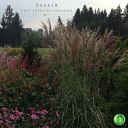 Ossaim - Her Original Mix