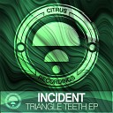 Vital Incident - This Way Original Mix